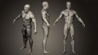 Figurines of people Male Body Sculpt 3 3d model